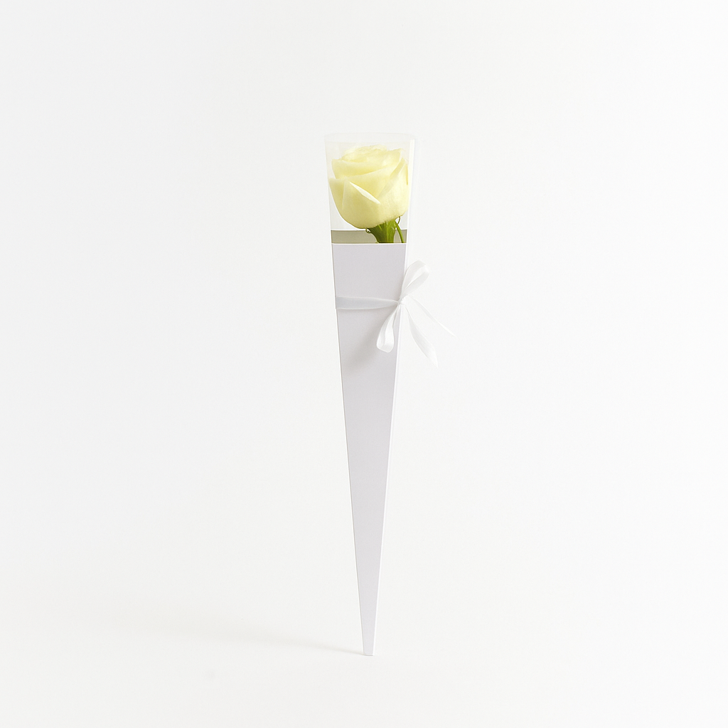 Single Rose White