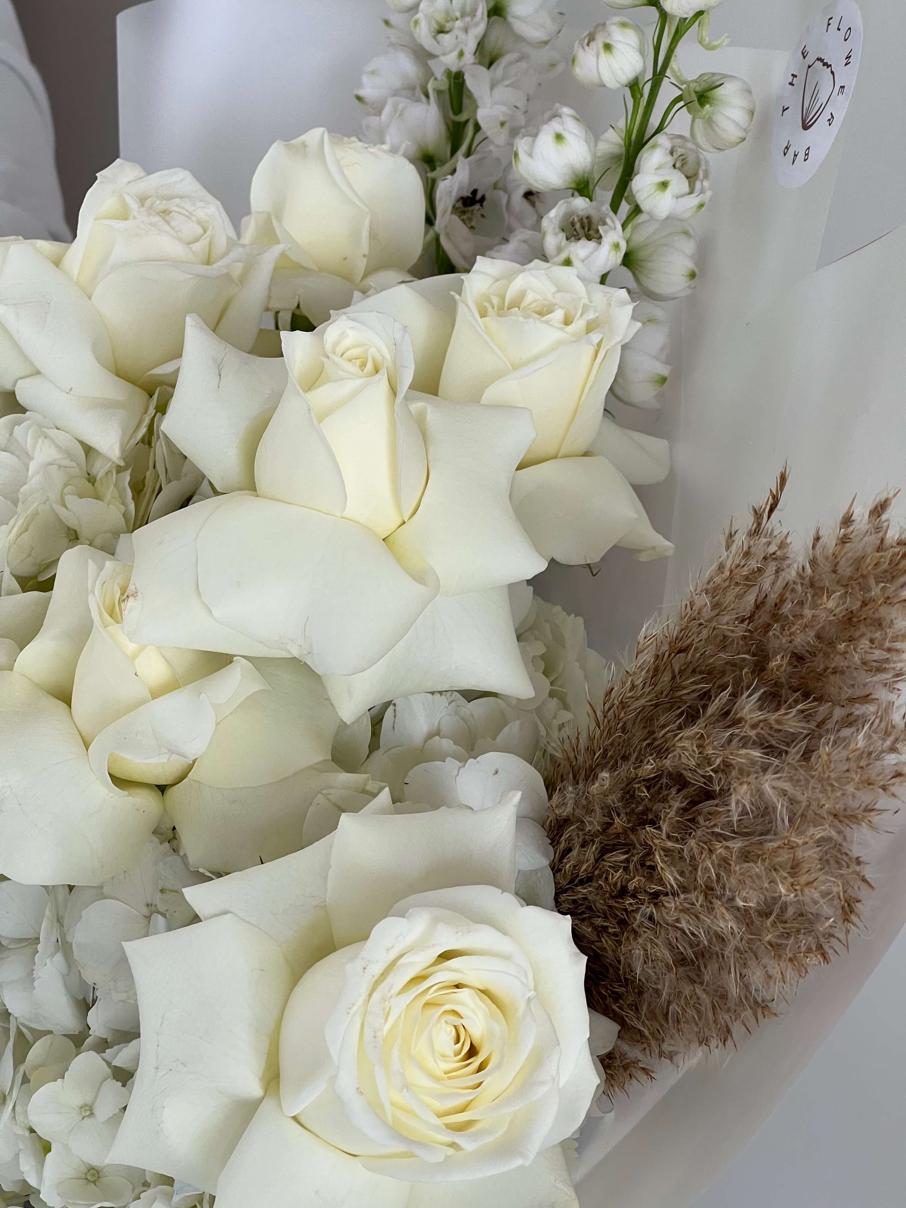 White Dream