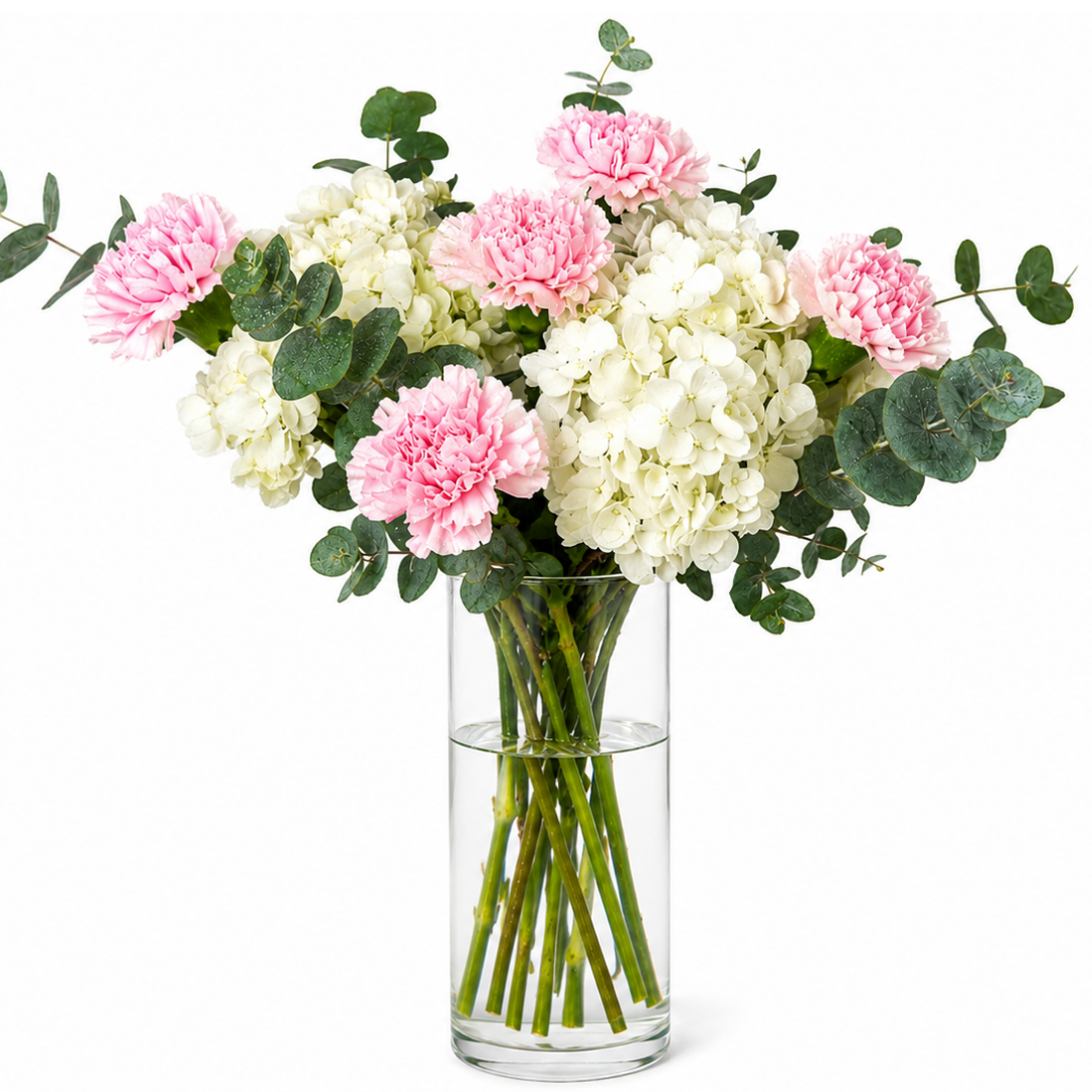 CARNATIONS & HYDRANGEA