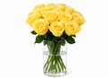 15 Yellow Roses