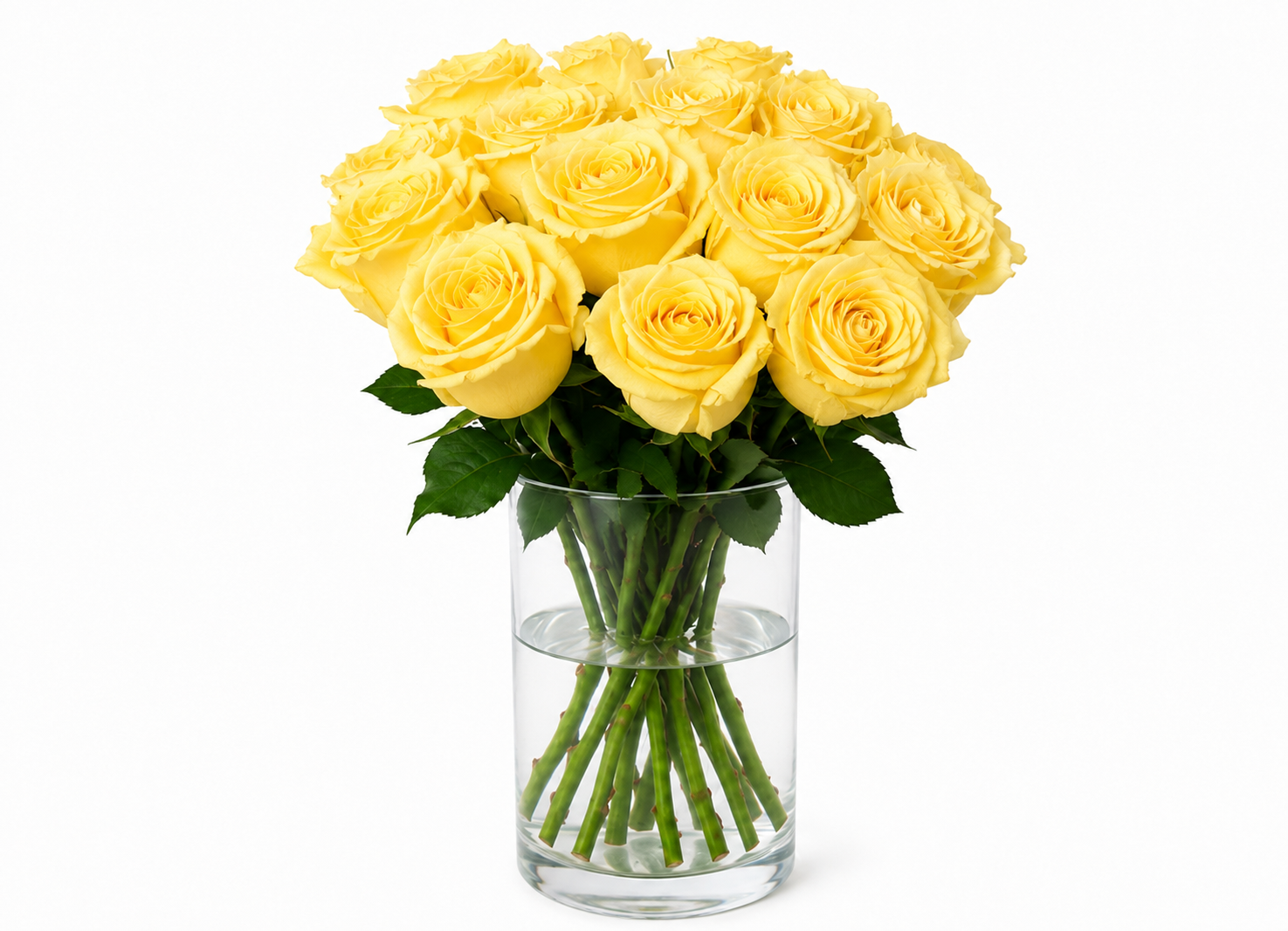 15 Yellow Roses