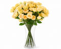 10 Salinero Spray Roses