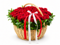 Basket of 101 Red Roses