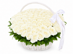 101 White Roses in Basket
