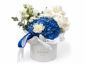 Blue Tender