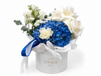 Blue Tender