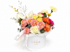 Colorful Arrangement