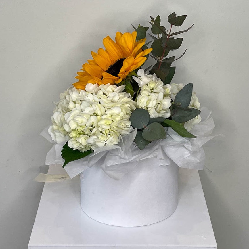 Hydrangea And Sunflower