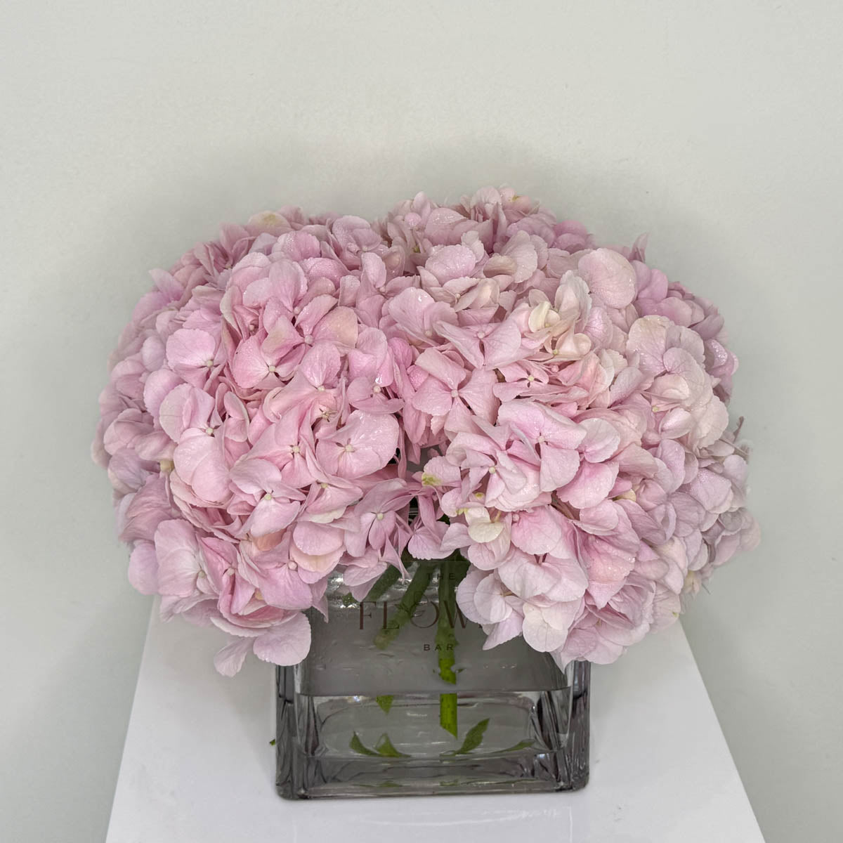 Square vase with 5 pink Hydrangeas