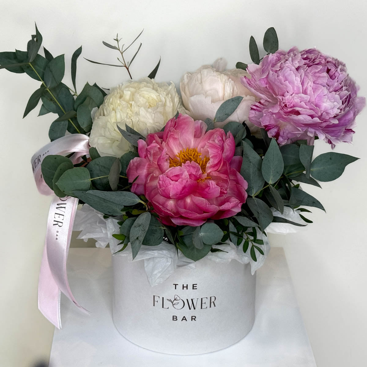 Color Peonies