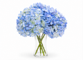 4 Blue Hydrangea in a Glass Vase