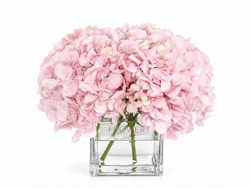 Square vase with 5 Hydrangeas