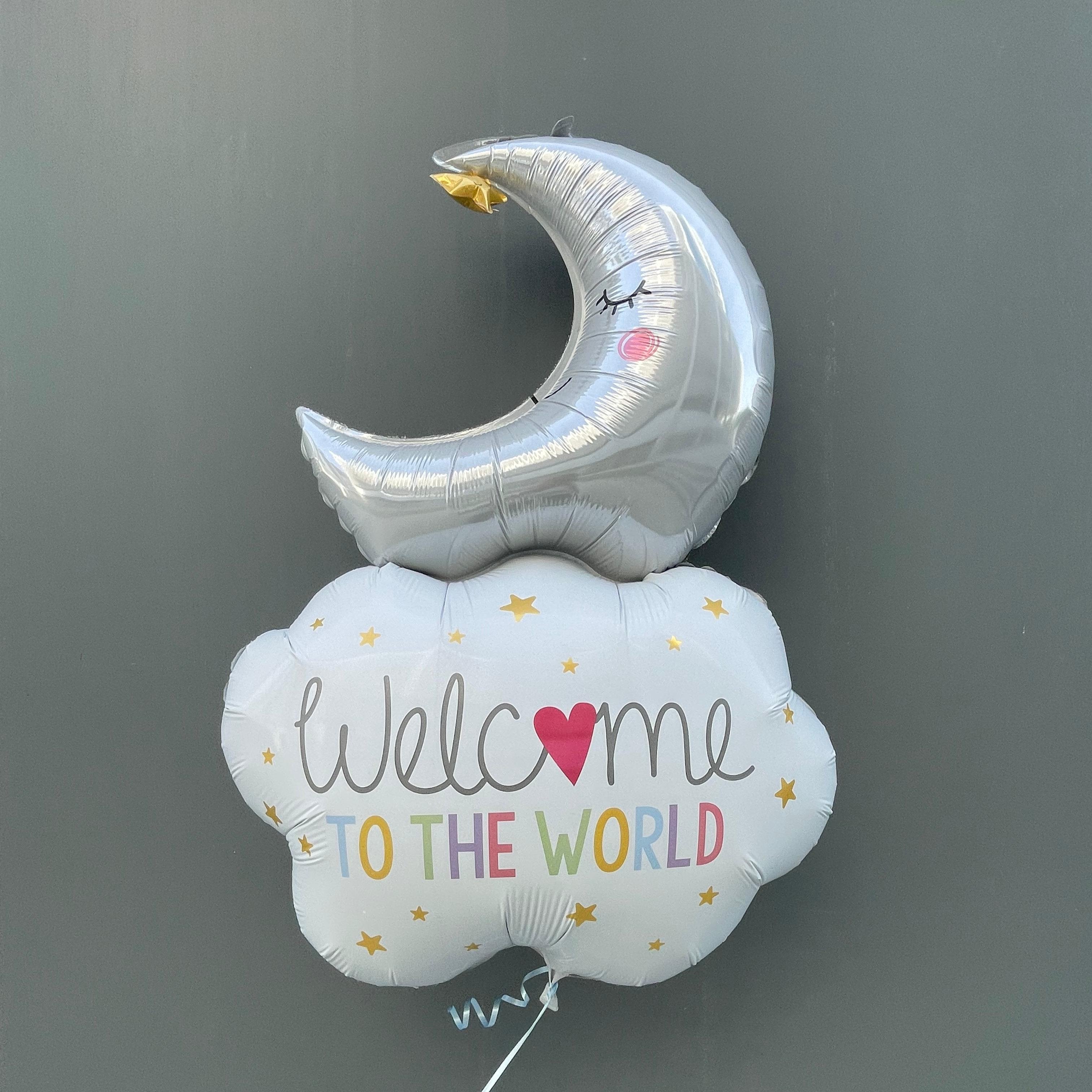 Welcome Baby Moon