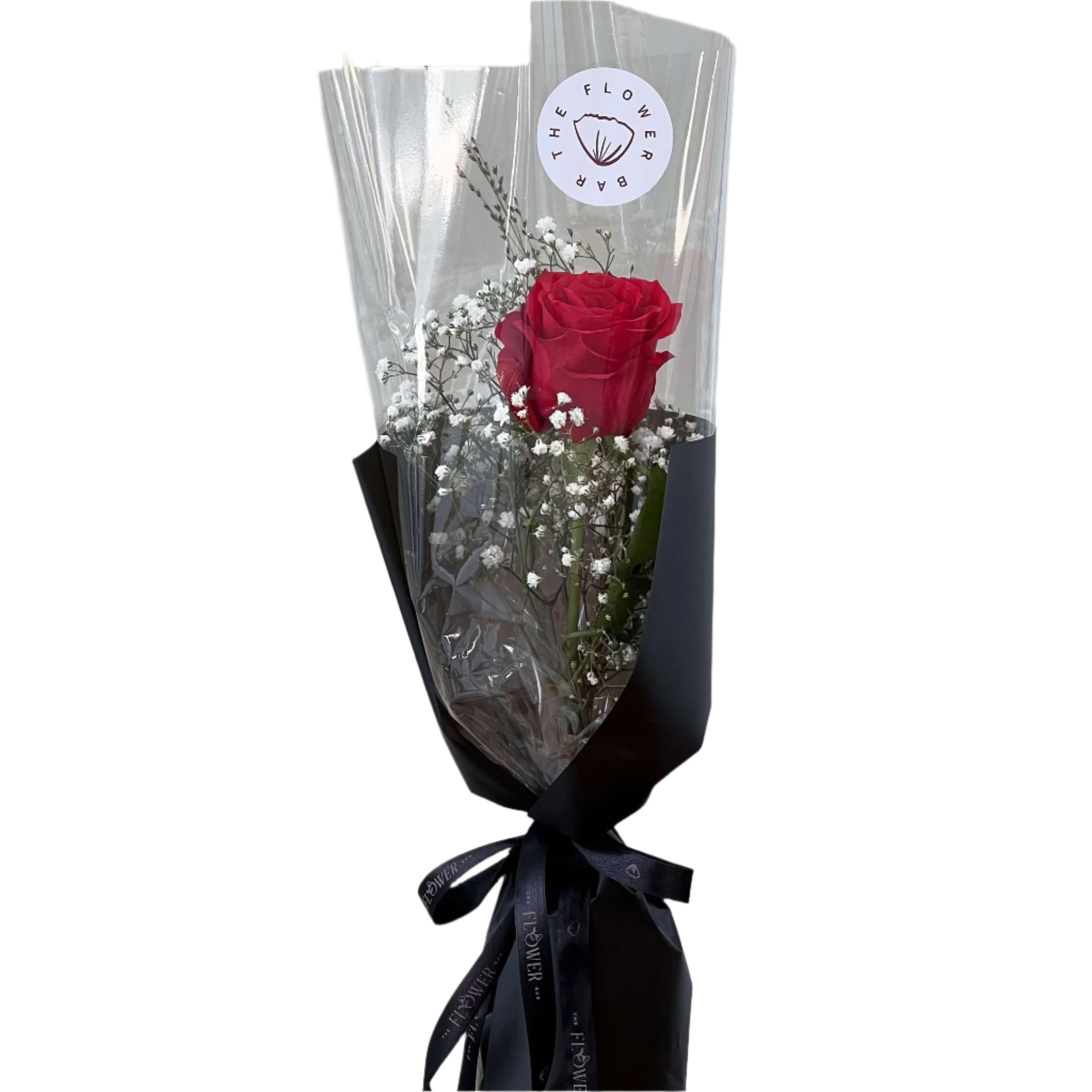 Single Rose Compliment